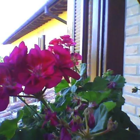 La Quiete 3* Acquapendente