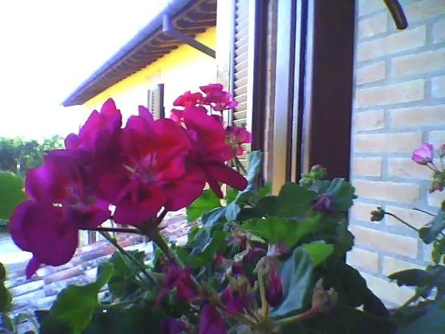 La Quiete 3* Acquapendente